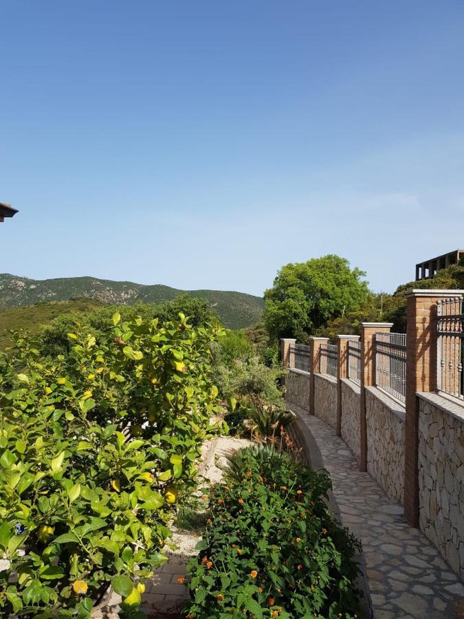 "La Pavoncella" Chia - Domus De Maria Villa ภายนอก รูปภาพ