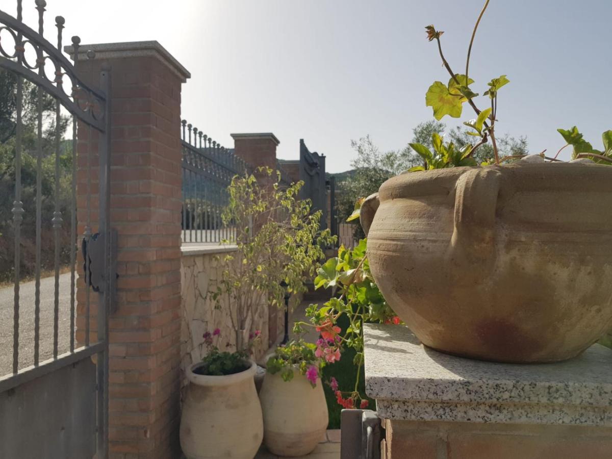 "La Pavoncella" Chia - Domus De Maria Villa ภายนอก รูปภาพ